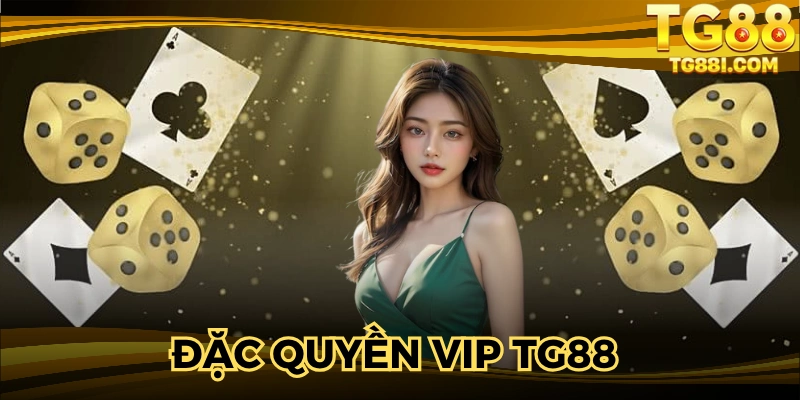 Đặc Quyền VIP TG88 – Tổng Hợp Quyền Lợi Riêng Từ Nhà Cái