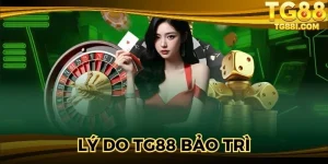 Lý Do TG88 Bảo Trì – Thông Tin Hữu Ích Bạn Cần Nắm